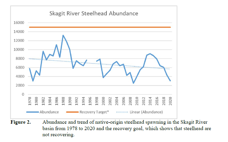 Skagit River steelhead abundance
